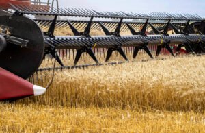 Pérdidas millonarias en el agro deja el impacto de la grave sequía en Argentina