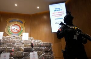 Detienen chófer y frustran envío de casi 400 paquetes de cocaína a Bélgica