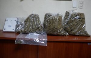 Desarticulan red de microtráfico de drogas y detienen a ocho personas