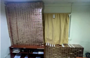 Incautan 18 mil cajetillas de cigarrillos durante allanamiento en Santiago