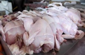 Gobierno inicia venta de 1.5 millones de pollos a RD$150