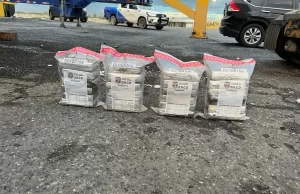 Ocupan 24 paquetes de cocaína en contenedor lleno de piña en Puerto Caucedo