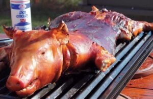 Productores aseguran hay cerdos suficientes para las festividades