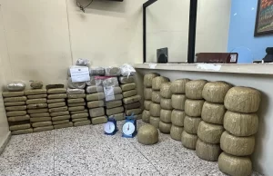 Ocupan 573 libras de marihuana en Santiago; buscan a “El Viejo y Manao”