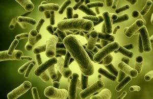 Salud Pública informa de otros cinco casos de cólera e inicia vacunación