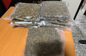 Decomisan 17 paquetes de marihuana camuflados en aspiradora y cajas de cereal