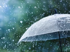 AGUACEROS, TORMENTAS ELÉCTRICAS Y RÁFAGAS DE VIENTO POR LA INCIDENCIA DE UNA VAGUADA