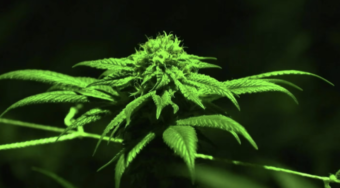 Screenshot 2023-03-29 at 3.31.10 PM