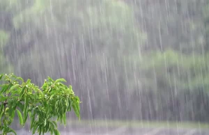 Algunas lluvias entre débiles a moderadas hacia el interior del país para la tarde
