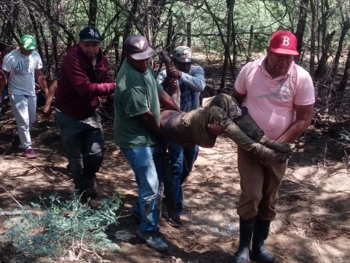 WhatsApp-Image-2023-05-23-at-8.24.09-AM