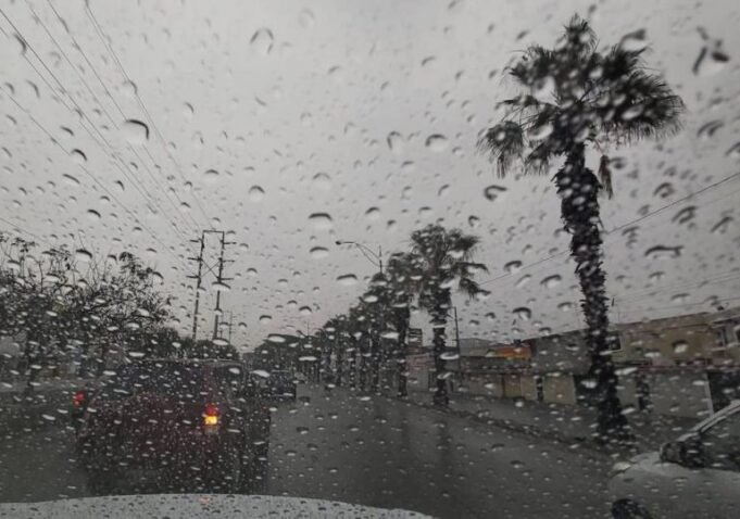 b955b479-6c89-4c8e-ac5b-099c83a7bd24-770x540-1