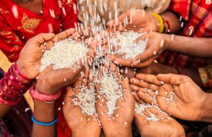 El hambre creció un 30 % en América Latina y el Caribe desde 2019, según la FAO