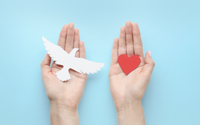 Screenshot 2023-06-28 at 2.04.34 PM