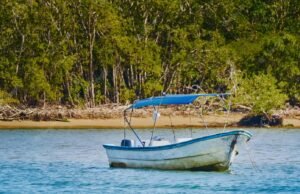 Hallan a migrante embarazada muerta en lancha cerca de España
