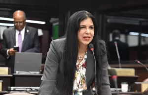 Diputada Pilarte se retira de la política en lo que se investiga su proceso judicial