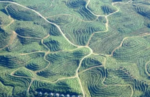 Indonesia puede perder sus dos glaciares tropicales de aquí a 2025