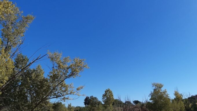 _2502959727_35893362_1300x731