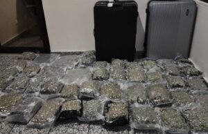 Apresan dominicana y le ocupan sustancias narcóticas en el AILA