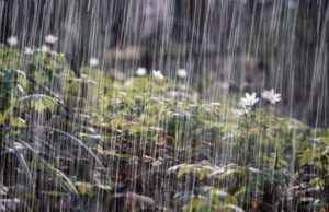 Onamet pronostica calor y chubascos aislados hacia varias regiones