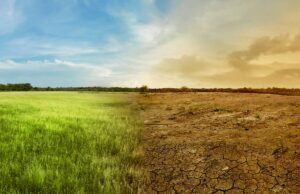 El 2023 bate récords de temperaturas, concentración de CO2 y deshielo