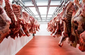 Presidente asegura no se ha autorizado importación de carnes al país desde Brasil