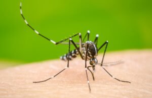 El dengue sigue cobrando vidas, muere otro niño