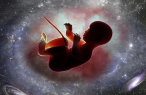 Una empresa neerlandesa quiere hacer nacer bebés en el espacio