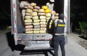 DNCD y Cesfront ocupan 386 libras de marihuana en Elías Piña
