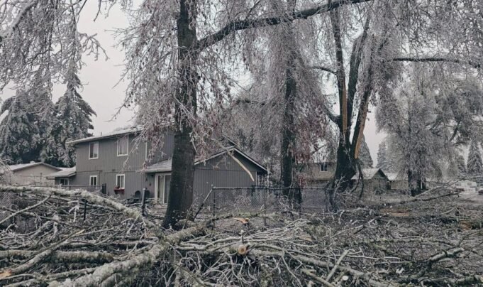 descarga-2024-01-19T110717.365-1140x676