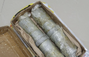 DNCD incauta 800 gramos de cocaína que iban a ser enviados a Francia