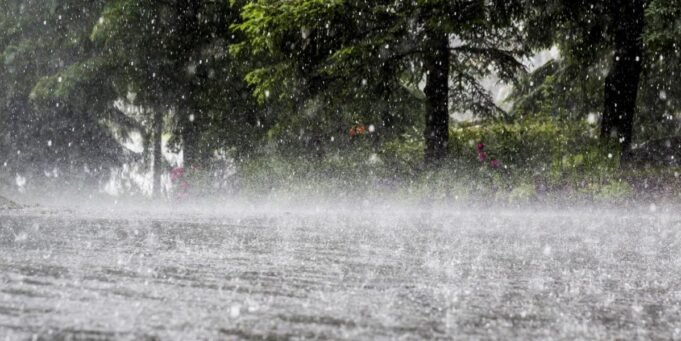 62f6ae602a15a.r_d.1379-663-4000