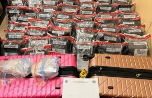 Ocupan 118 paquetes de marihuana en Aeropuerto del Cibao