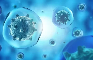 Investigación asegura que cada célula de nuestro cuerpo podría ser consciente