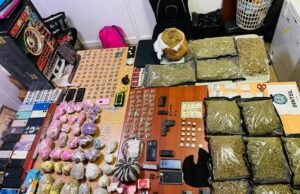 Decomisan más de 9,400 gramos de drogas y detienen a ocho personas en Santiago