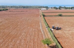 Agricultores en Puerto Plata podrán obtener 7,900 tareas de tierras gratis