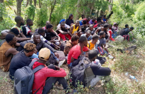 Con drones, detectan y capturan a 50 haitianos indocumentados en una zona rural