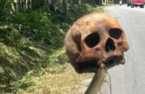 Creen que cráneo humano encontrado en La Altagracia era usado en ritos satánicos