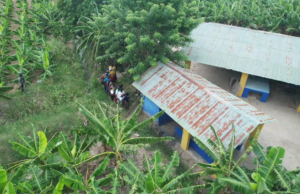 Sorprenden con drones a 13 haitianos sin documentos escondidos en unas plantaciones de Mao