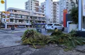 Sufre accidente de tránsito el hombre que socorrió al Big Papi tras atentado