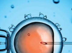 La congelación de óvulos preserva la fertilidad en mujeres a partir de los 35 años, según ginecóloga